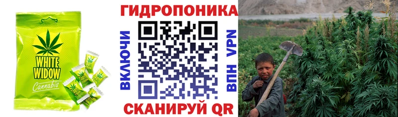 Cannafood марихуана  закладки  Камышлов 