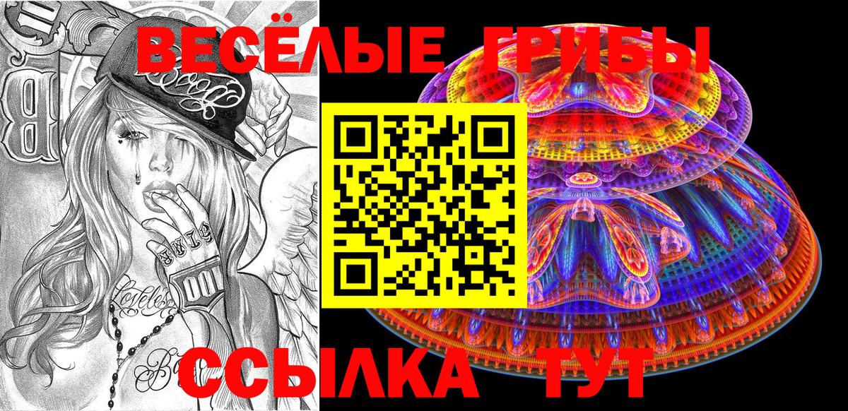Галлюциногенные грибы GOLDEN TEACHER  Вход с VPN  Псилоцибиновые грибы GOLDEN TEACHER  Камышлов 