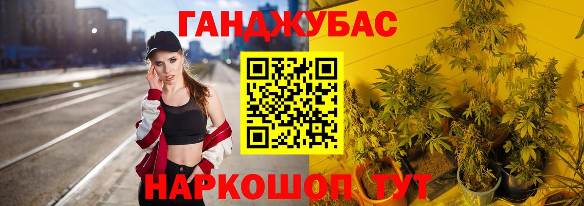 Марихуана сатива  МАРИХУАНА White Widow  Камышлов  Вход с VPN  Канабис White Widow  Бошки марихуана план 